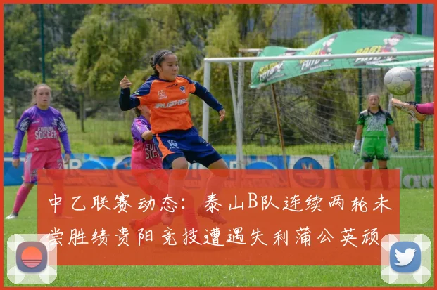 中乙联赛动态：泰山B队连续两轮未尝胜绩贵阳竞技遭遇失利蒲公英顽强战平